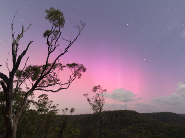 Image shows a pink sky above cliff tops, with a tree silhouette in the foregound